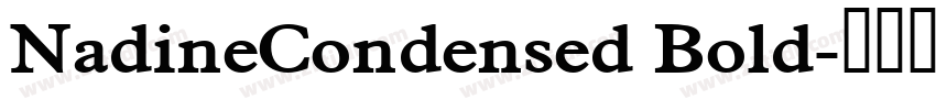 NadineCondensed Bold字体转换